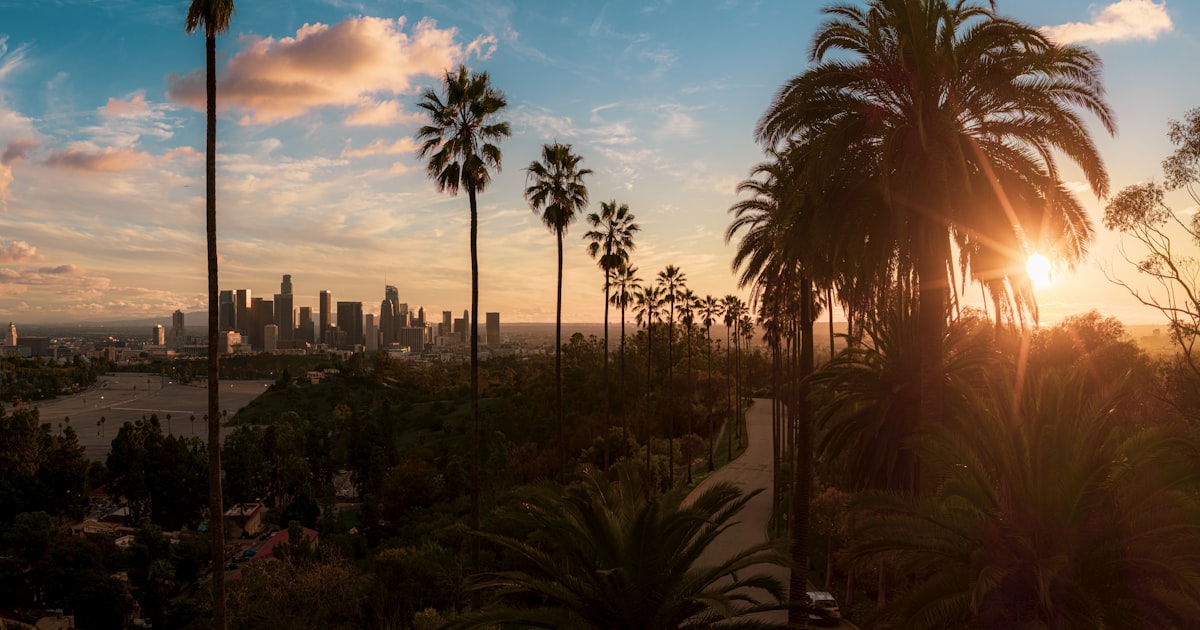 California Resume Guide: Job Market, Top Industries & Resume Tips for 2026